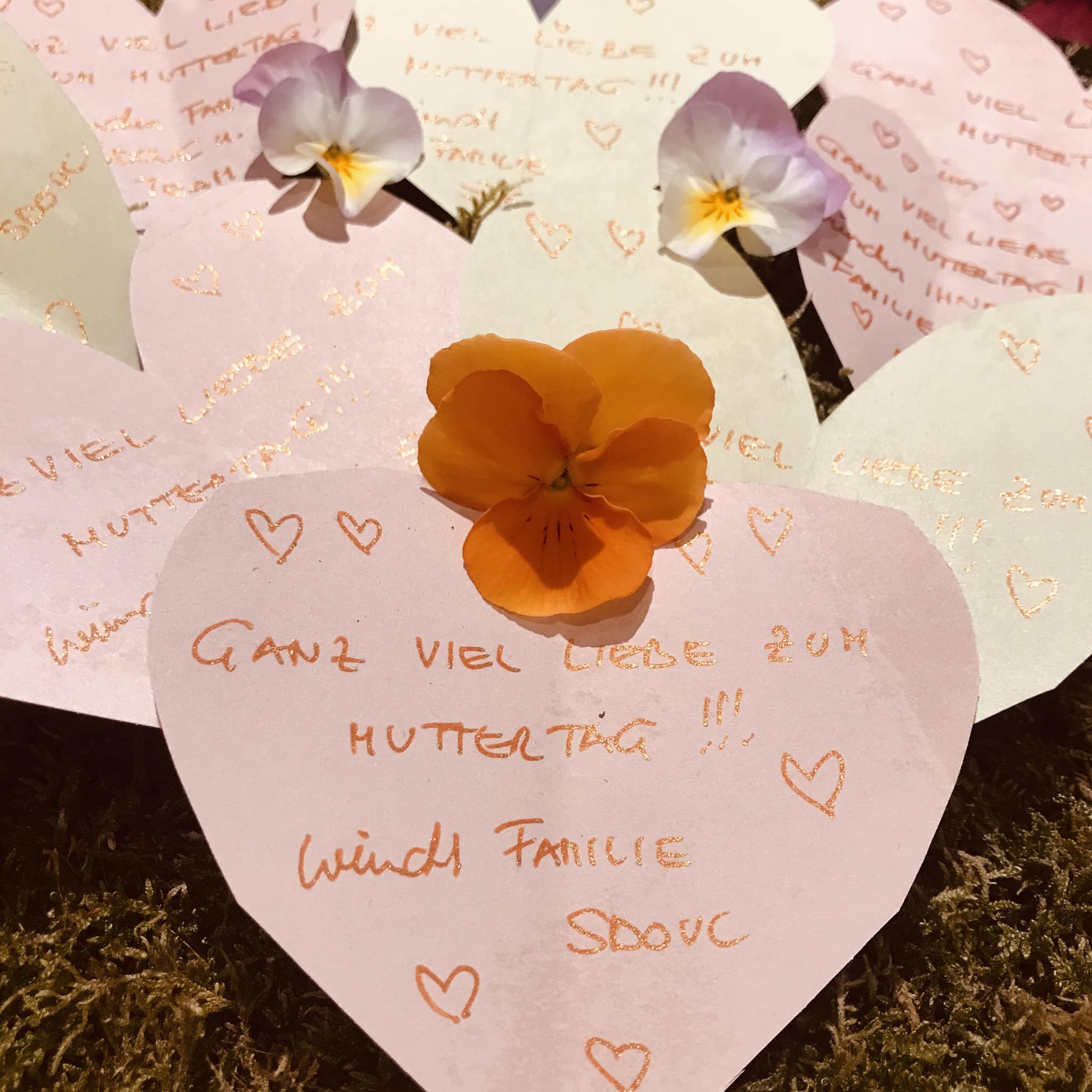 Nostalgie Mopedtreffen Flyer